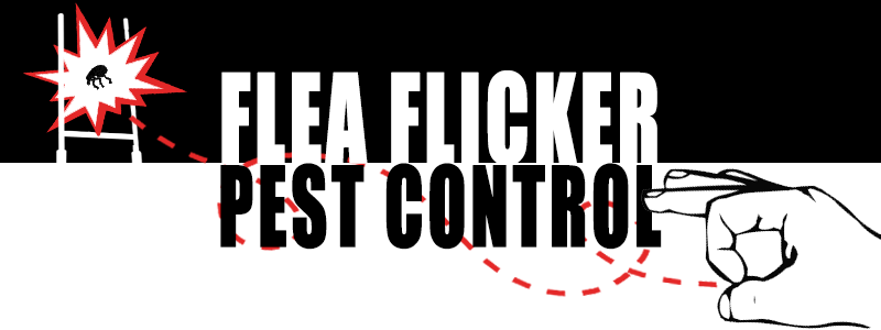 Flea Flicker Pest Control logo